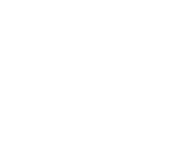 logo_NAIFAwhitenomark
